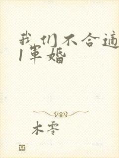 我们不合适1v1军婚