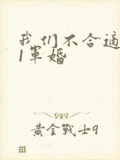 我们不合适1v1军婚