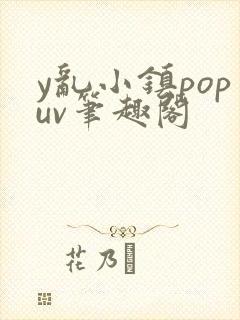 y乱小镇popuv笔趣阁封面