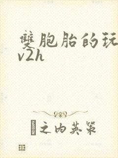 双胞胎的玩具1v2h