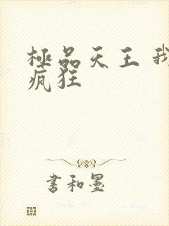 极品天王 我本疯狂