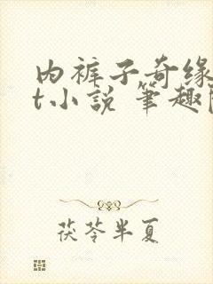 内裤子奇缘txt小说 笔趣阁