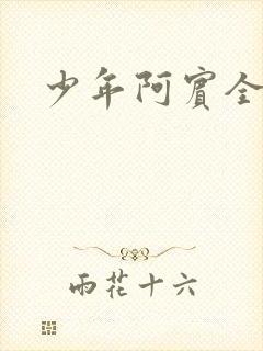 少年阿宾全章节