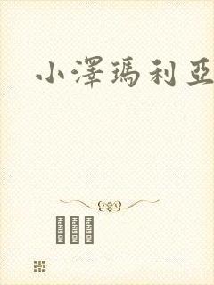 小泽玛利亚作品封面