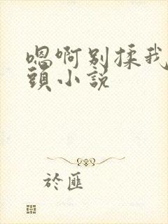 嗯啊别揉我的奶头小说