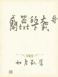 成器的大哥笔趣阁txt下载