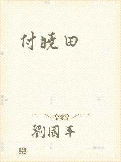 付晓田