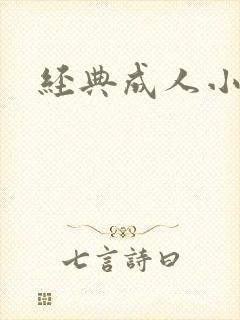 经典成人小说封面