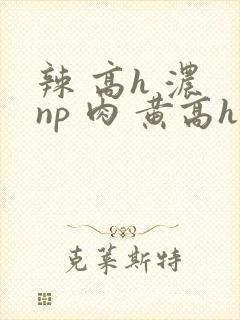 辣 高h 浓 np 肉 黄高h