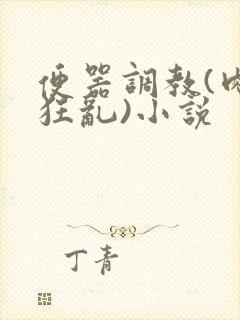 便器调教(肉体狂乱)小说