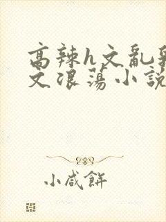 高辣h文乱乳h文浪荡小说苏瑾瑶