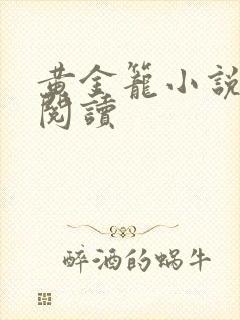 黄金笼小说免费阅读