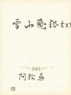 雪山飞狐txt