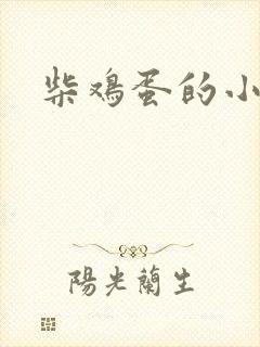柴鸡蛋的小说封面