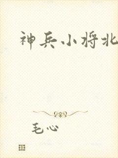 神兵小将北冥雪