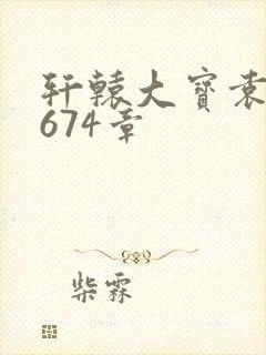 轩辕大宝袁雪妃674章