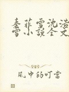 秦菲雪沈浩秦菲雪小说全文免费阅读求书封面