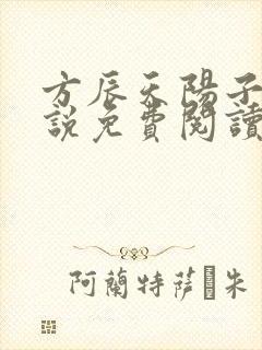 方辰天阳子的小说免费阅读