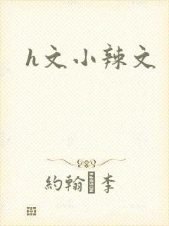 h文小辣文