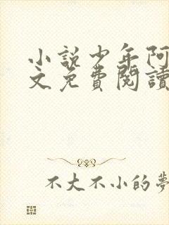 小说少年阿斌全文免费阅读封面