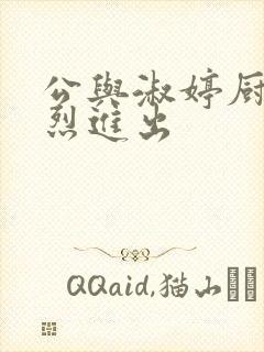 公与淑婷厨房猛烈进出封面