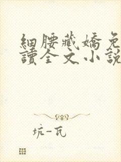 细腰藏娇免费阅读全文小说苏珞浅封面