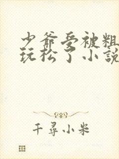 少爷受被粗汉H玩松了小说