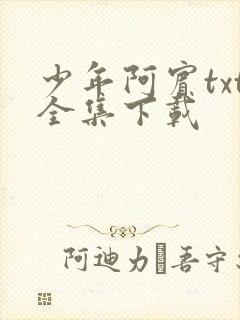 少年阿宾txt全集下载封面