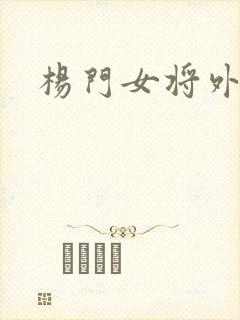 杨门女将外传
