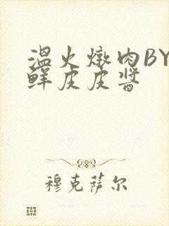 温火炖肉BY海鲜皮皮酱