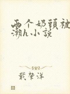 两个奶头被捏高潮h小说封面