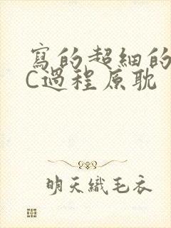 写的超细的多肉C过程原耽