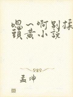 嗯～啊别揉我奶头黄小说