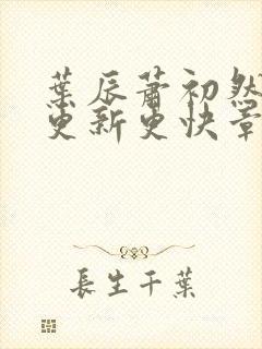 叶辰萧初然刚刚更新更快章节封面