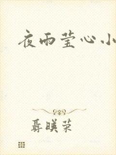 夜雨莹心小说