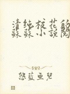 清纯校花的日常苏苏小说阅读全文