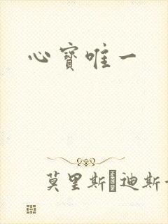 心宝唯一