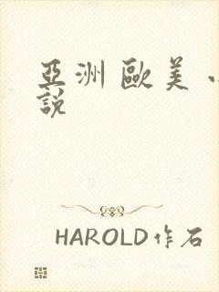 亚洲 欧美 小说封面