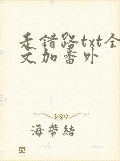 走错路txt全文加番外封面