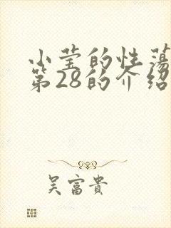 小莹的性荡生活第28的介绍封面