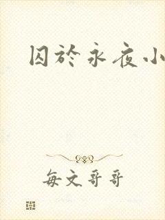 囚于永夜小说