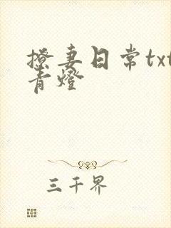 撩妻日常txt青灯