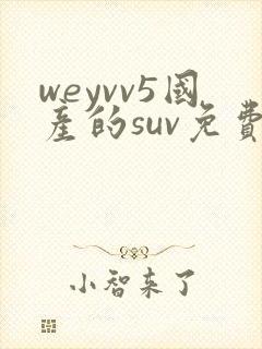 weyvv5国产的suv免费
