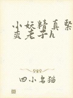 小妖精真紧h嘶爽老子h