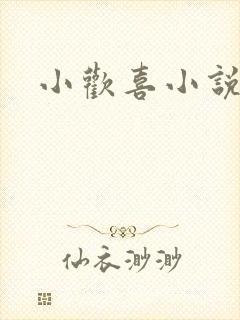 小欢喜小说封面