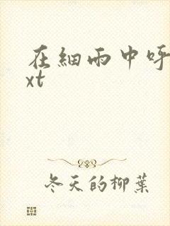 在细雨中呼喊txt