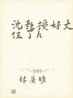 沈教授好大含不住了h