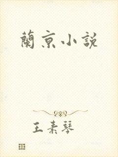 兰京小说