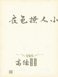 夜色撩人小说