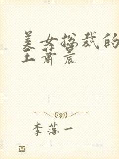 美女总裁的全兵王萧晨